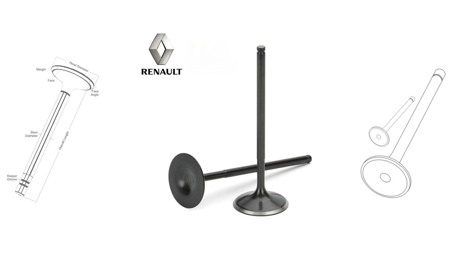 Renault engine valves