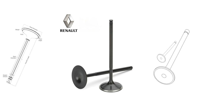 Renault engine valves