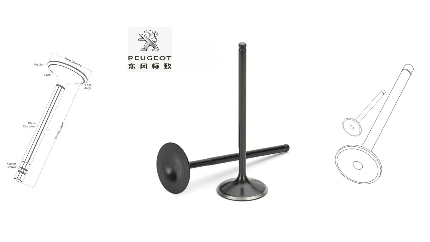 Peugeot engine valves