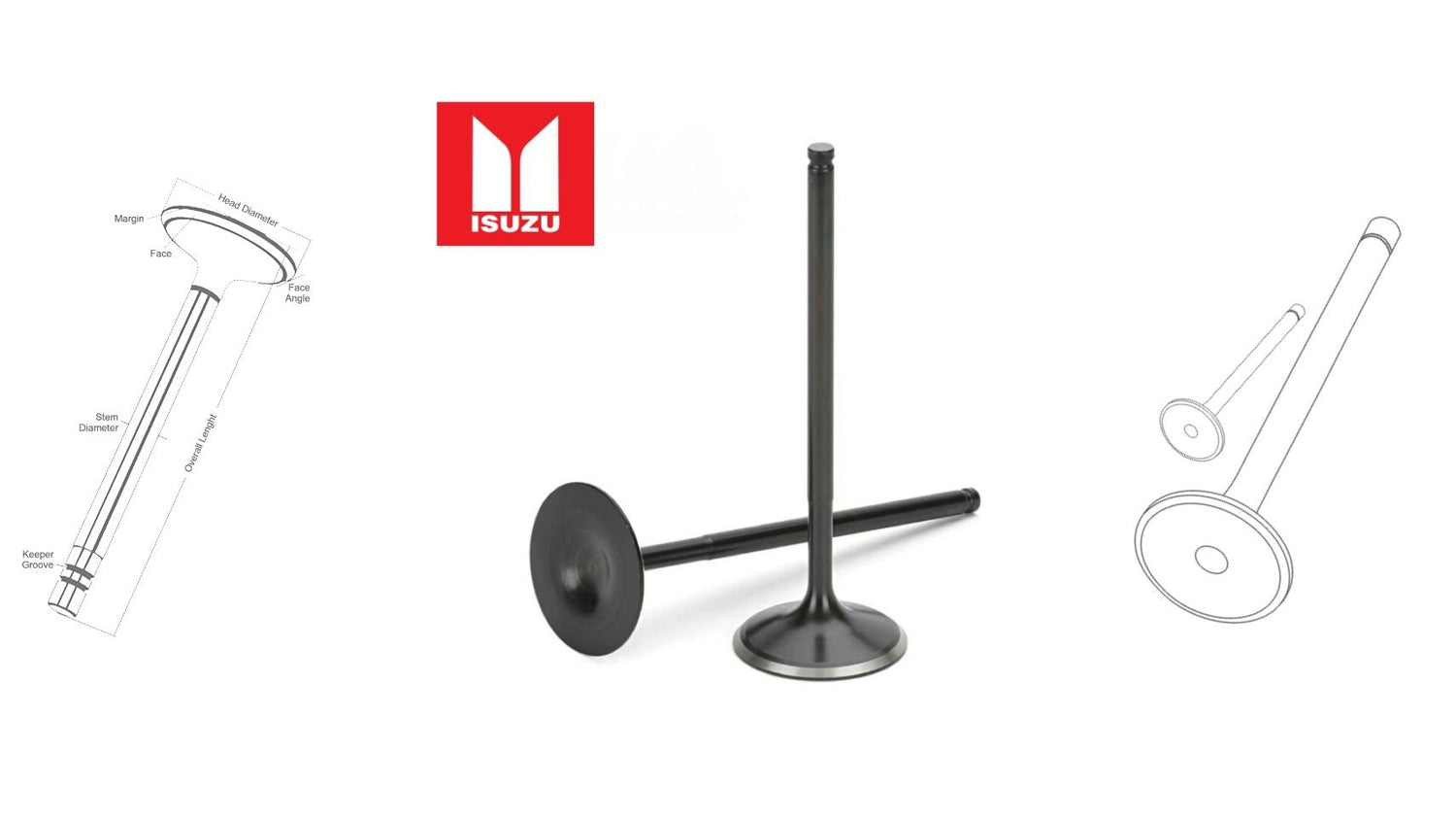 Isuzu engine valves